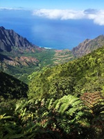 Waimea Canyon State Park Kauai Hawaii USA 50